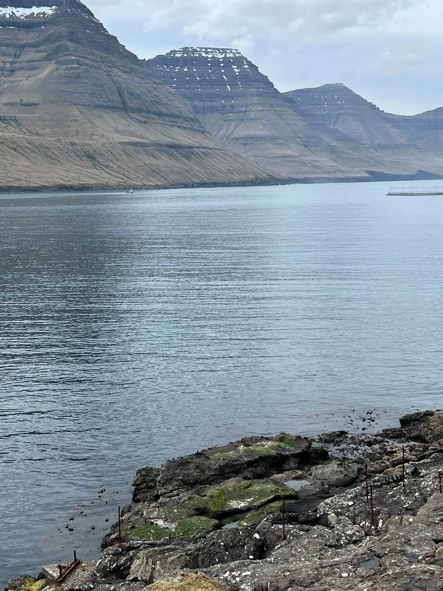 Linklettur