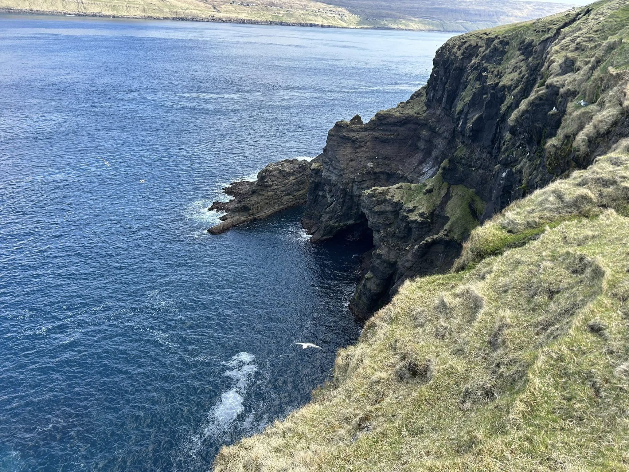 Magnusartangi