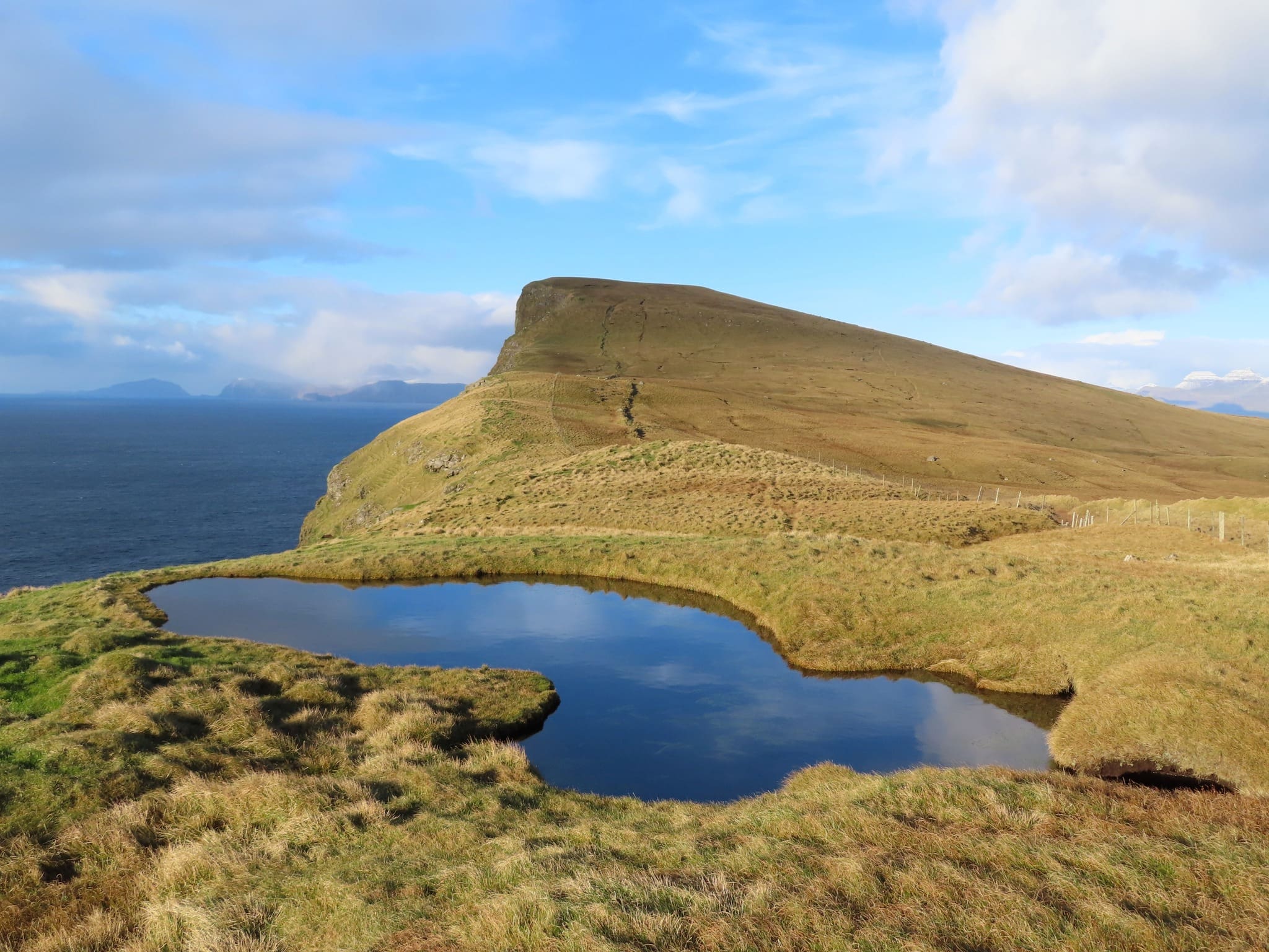 Gleðin