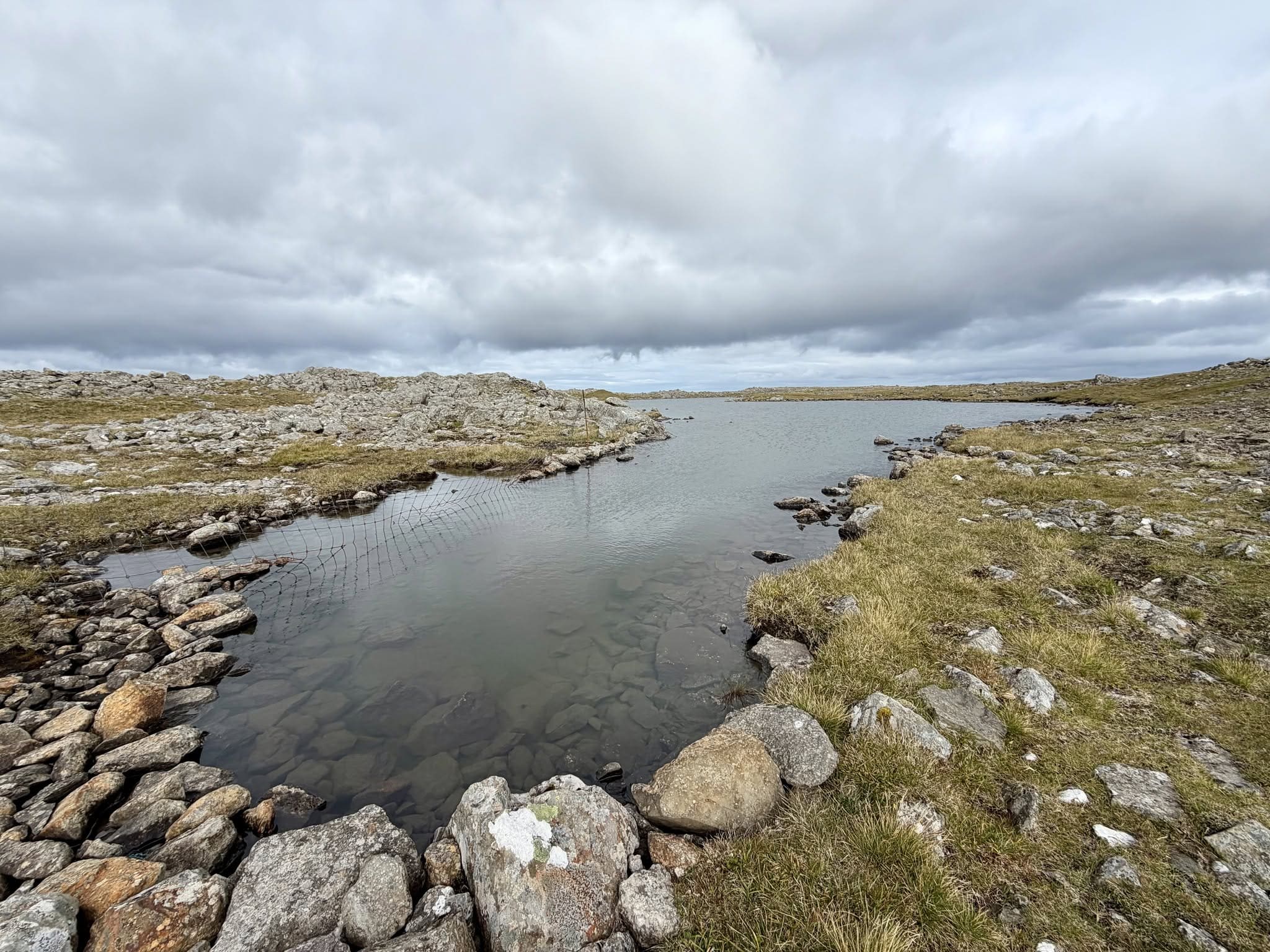 Krossvatn