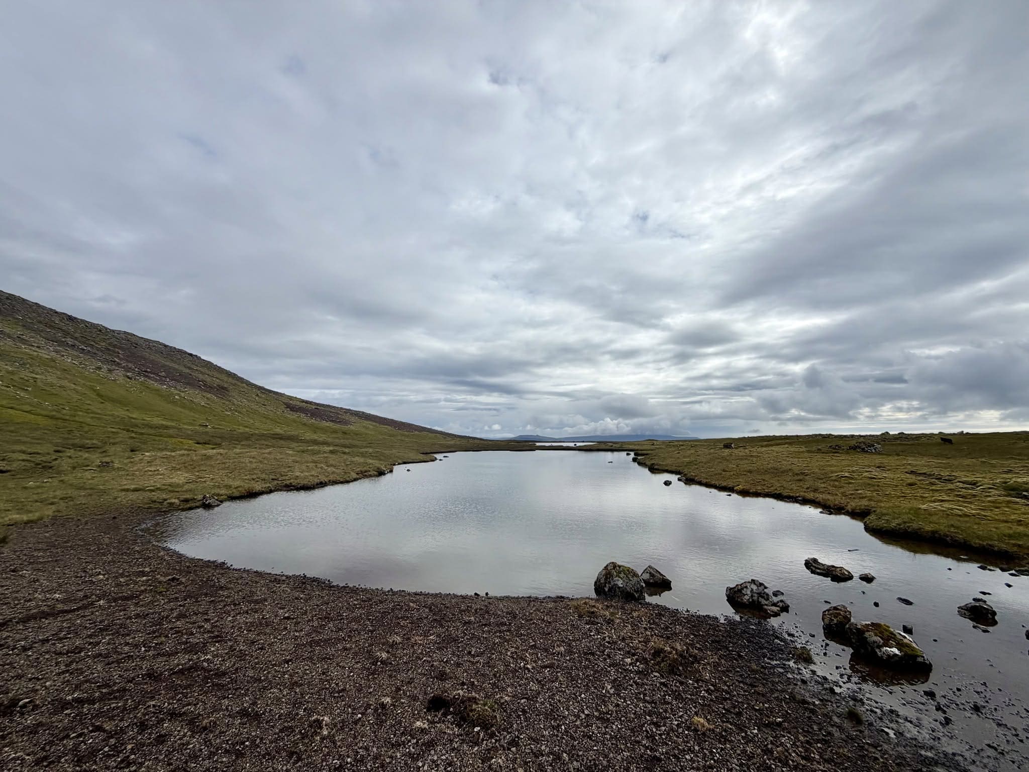 Tjørnin millum Viða