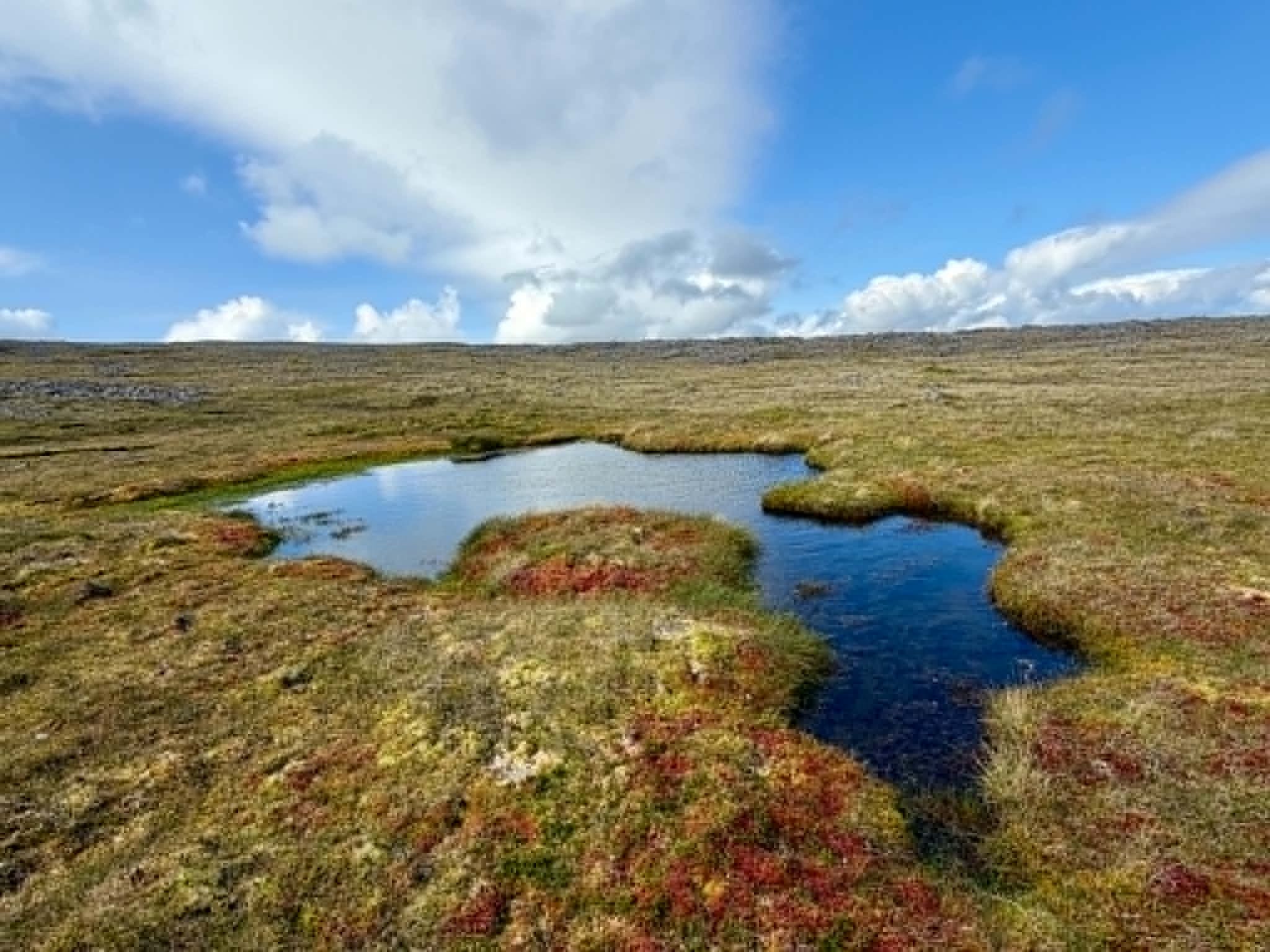 Dálatjørn