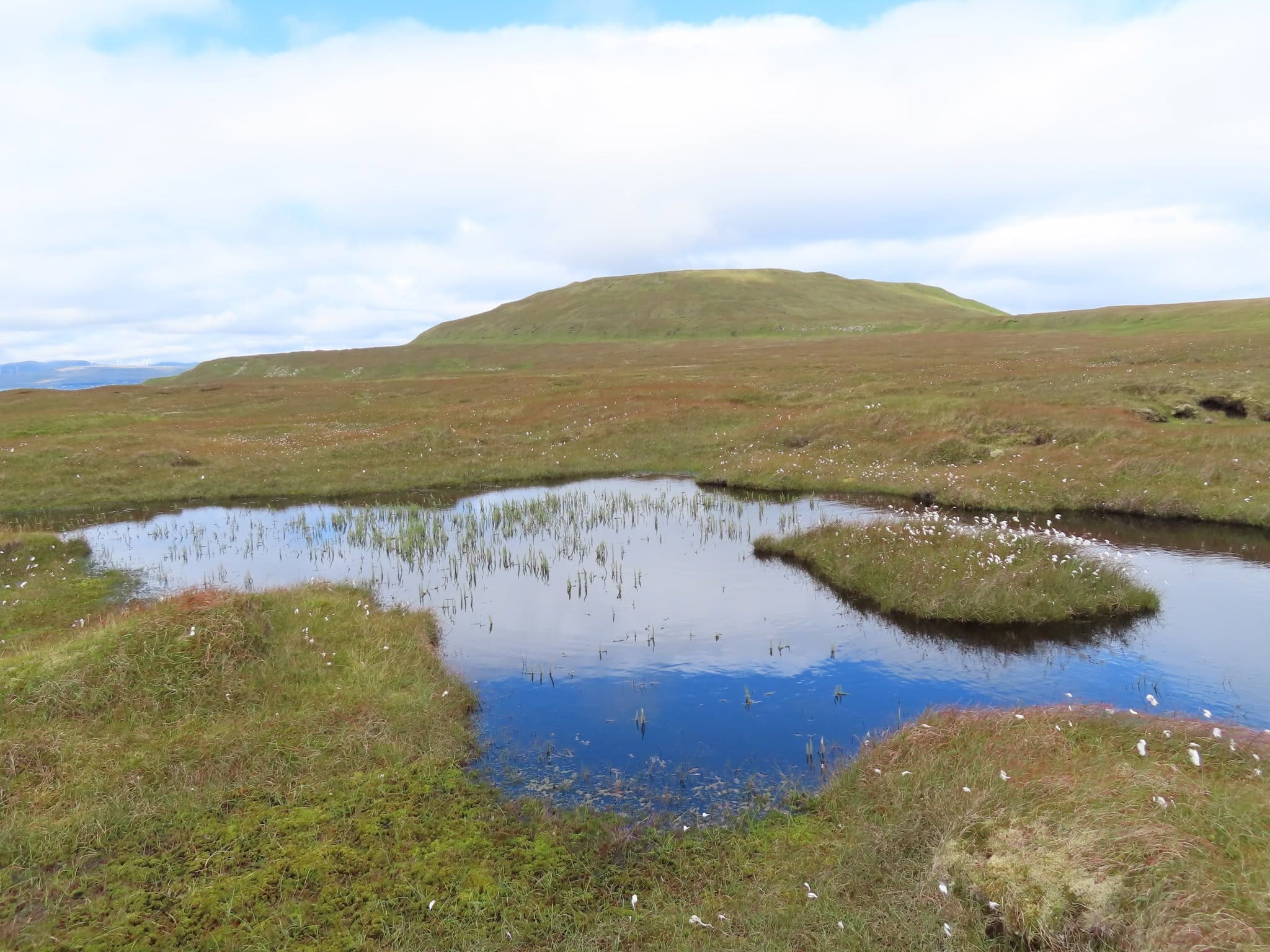 Hólmavatn