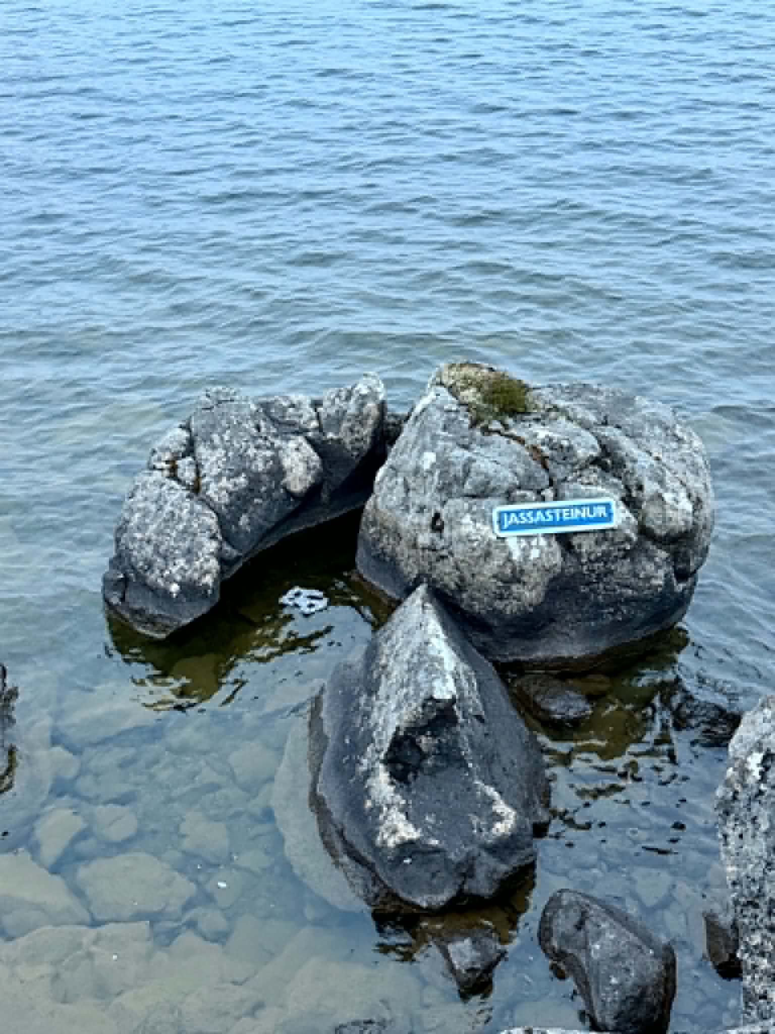 Jassasteinur