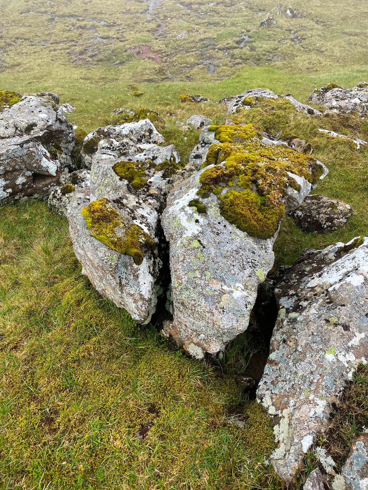 Dómstólar