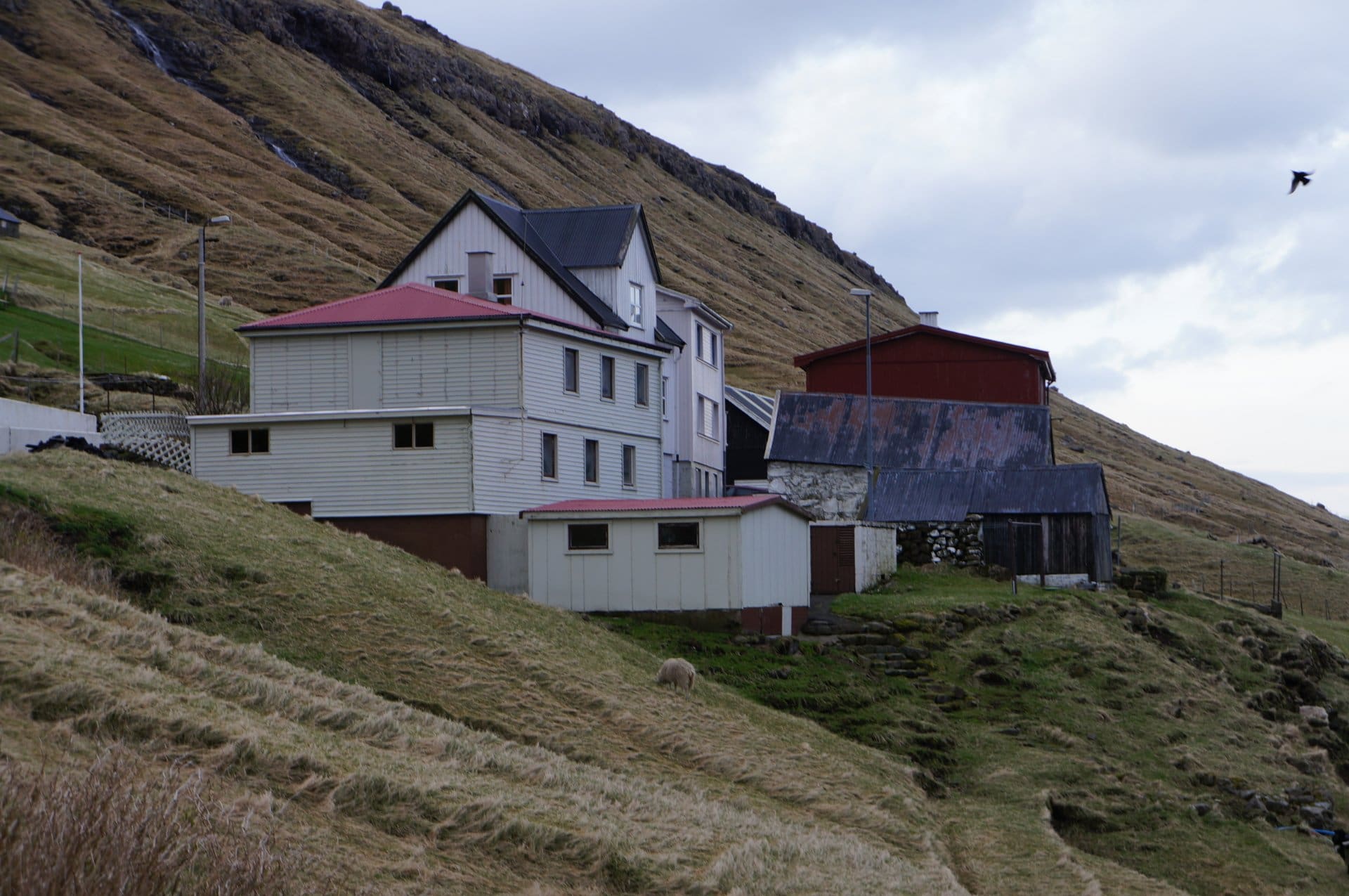 Niðara Gróthúsdeild