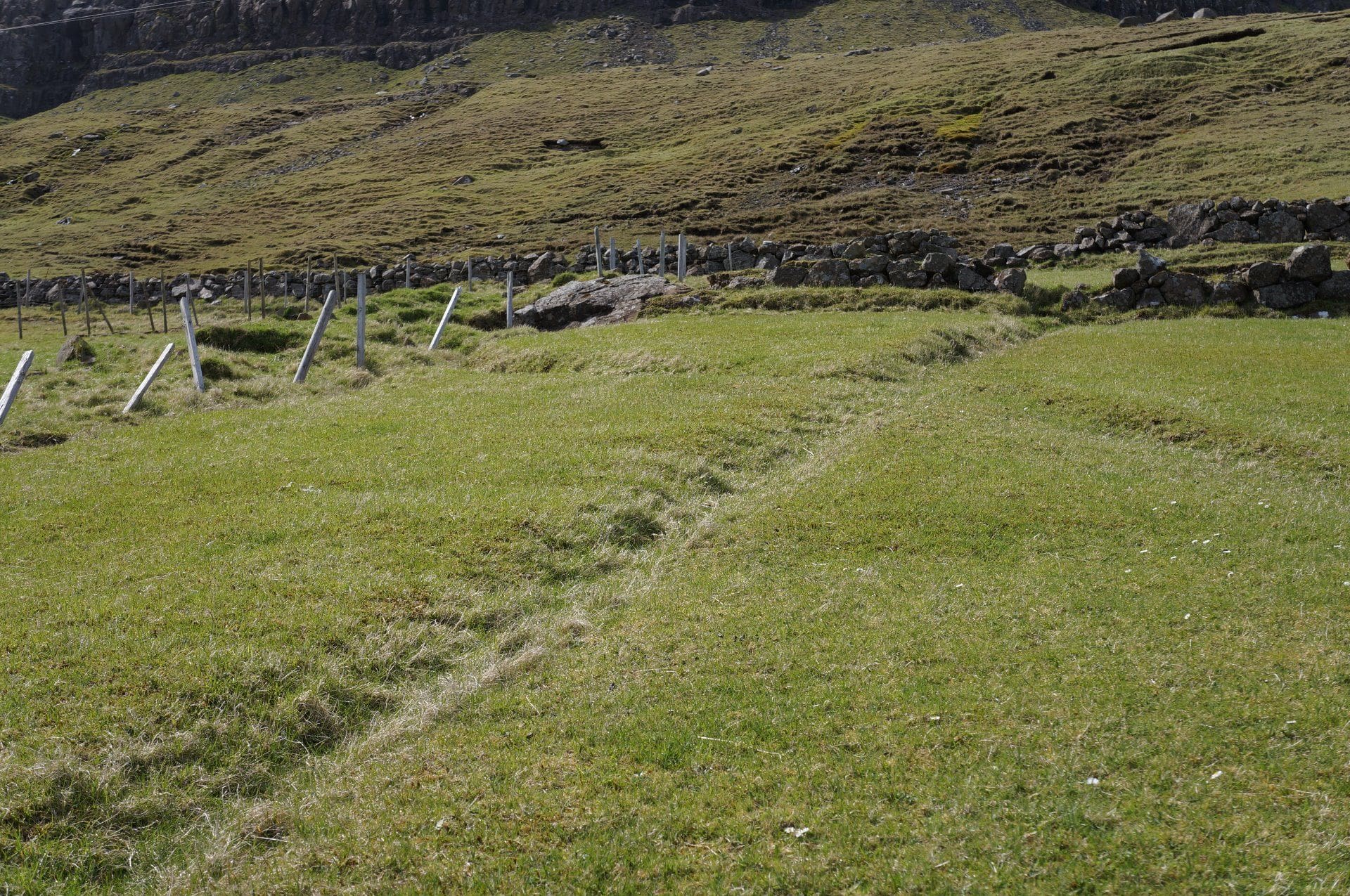 Norðri á Sprinklinum