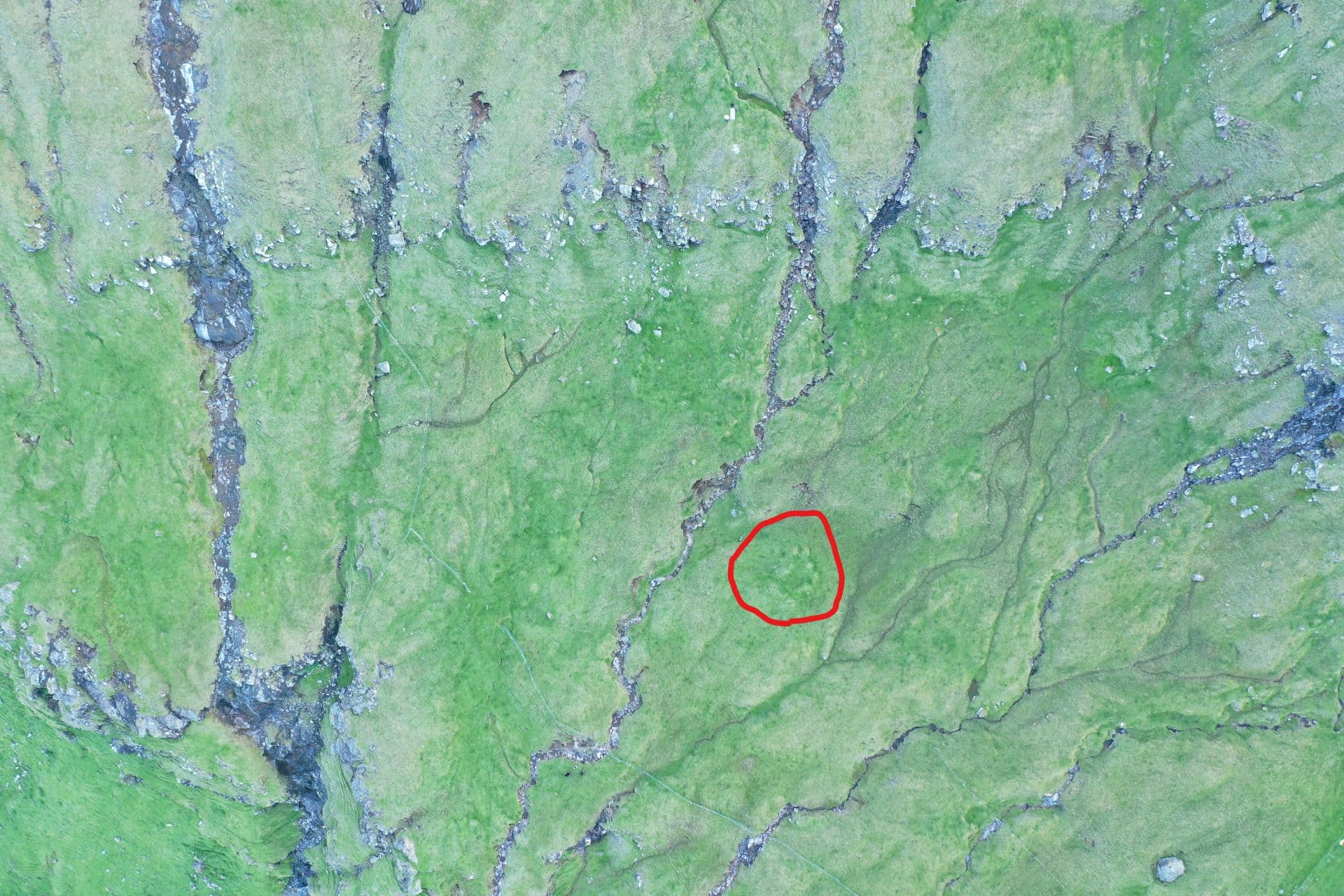 Skala  (uppi í skala)