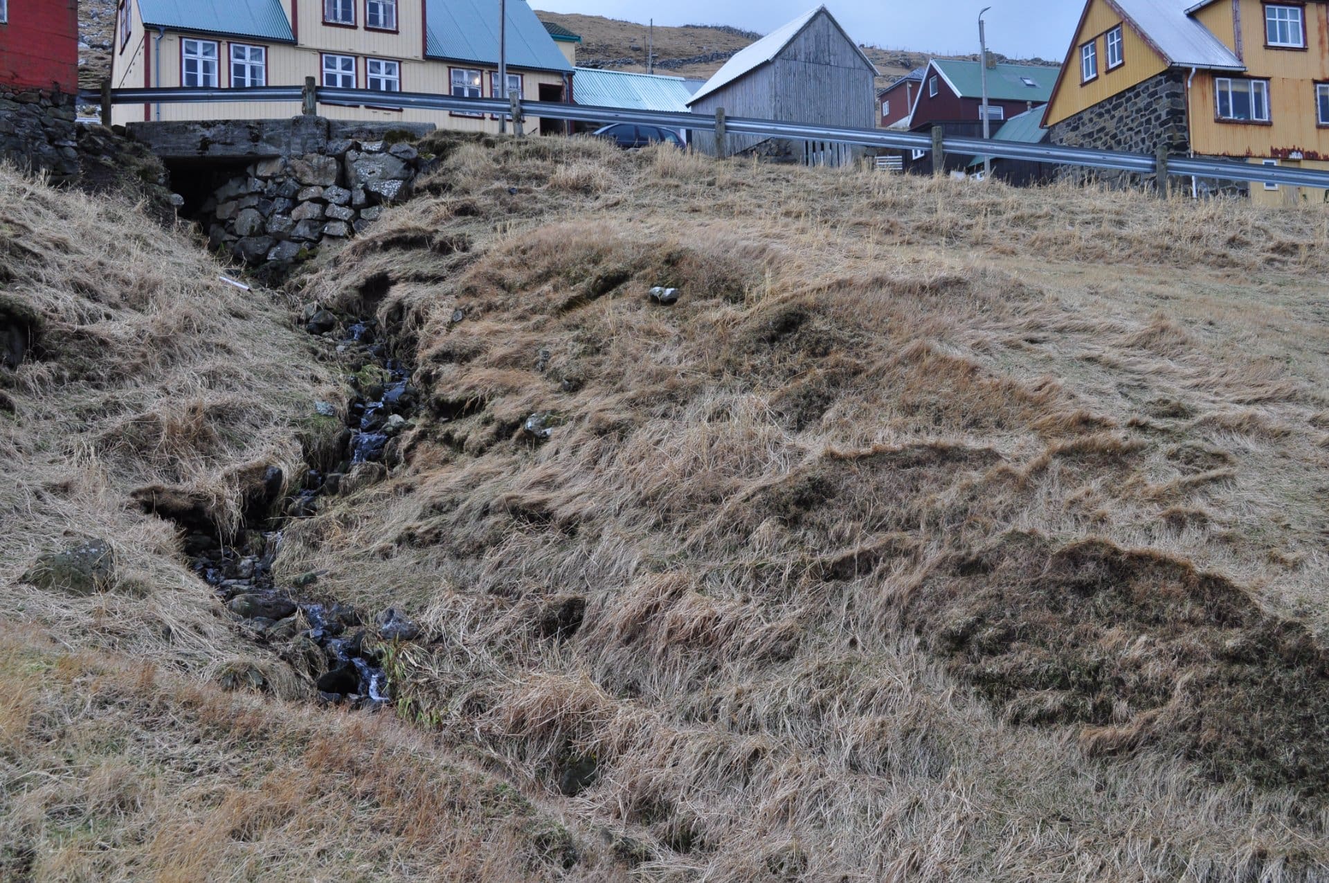 Í Gásagrønni     ( Í Gásagrónni)