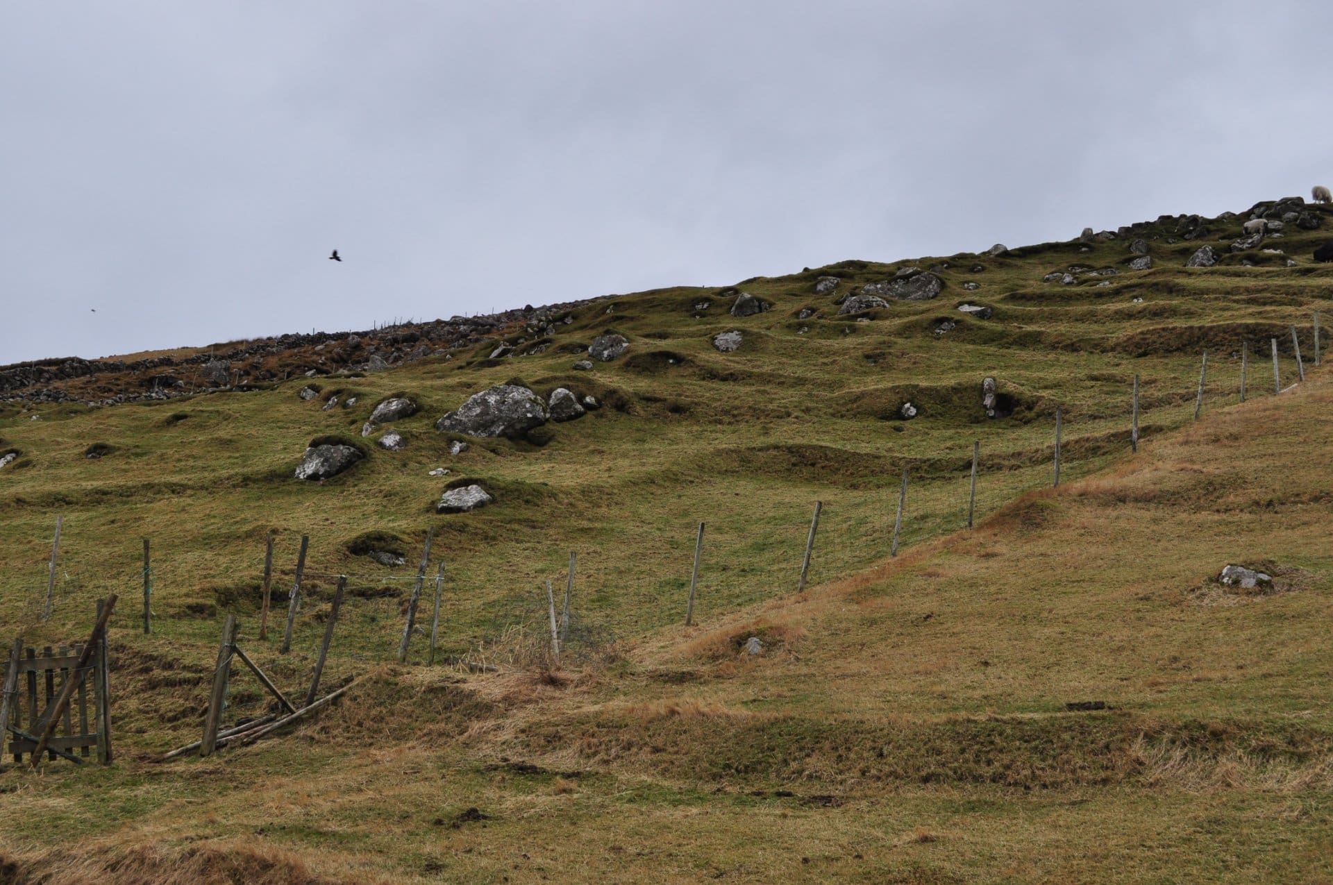 Norðri í Ennibergi