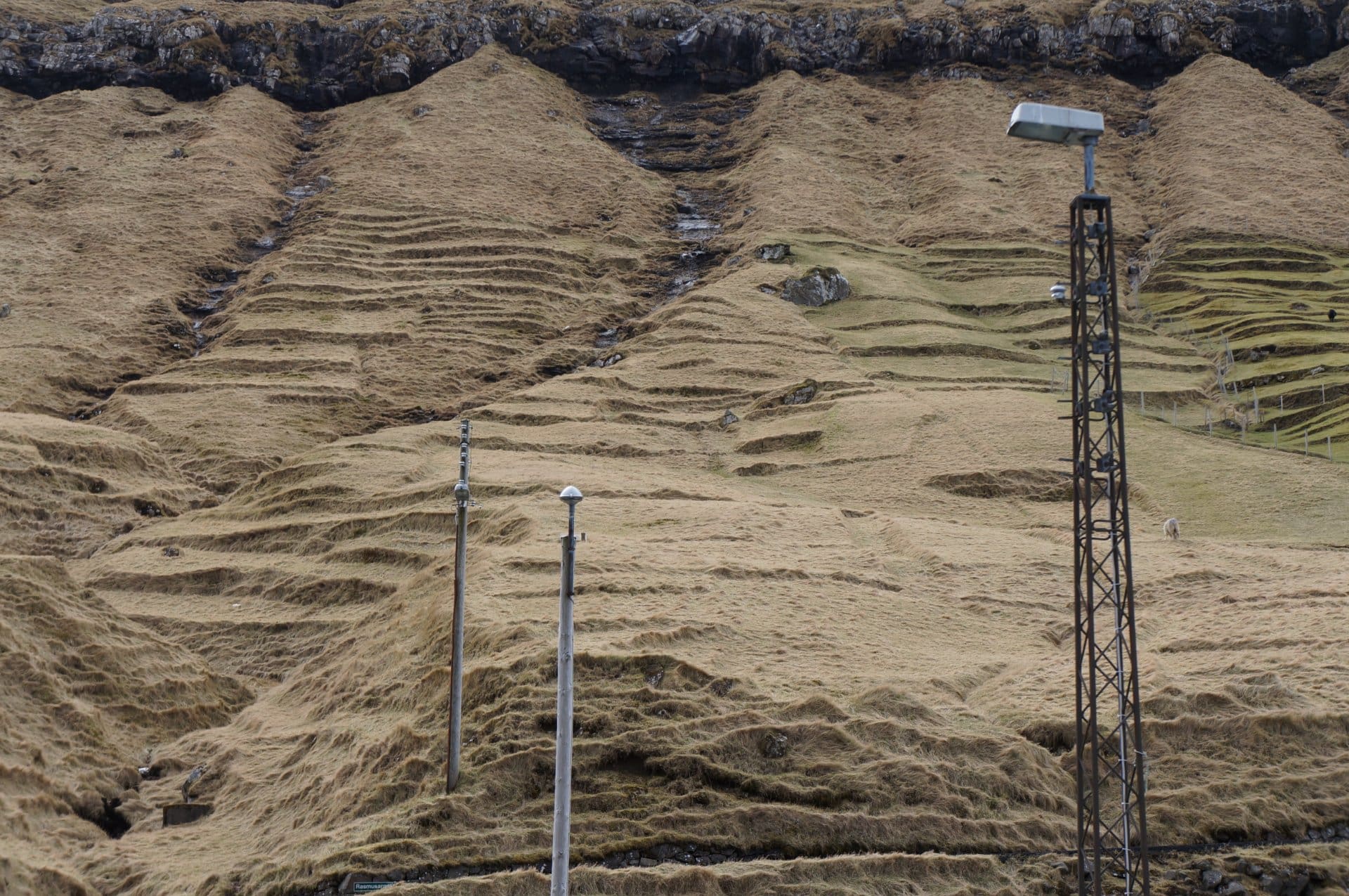 Niðara Miðdeildarmørk