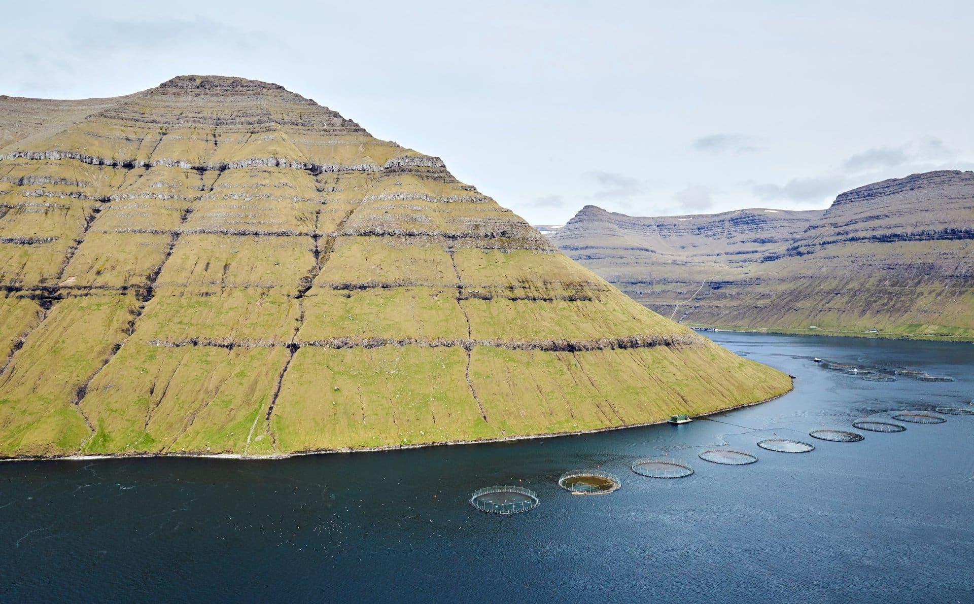 Stíggjurin í Tunguni