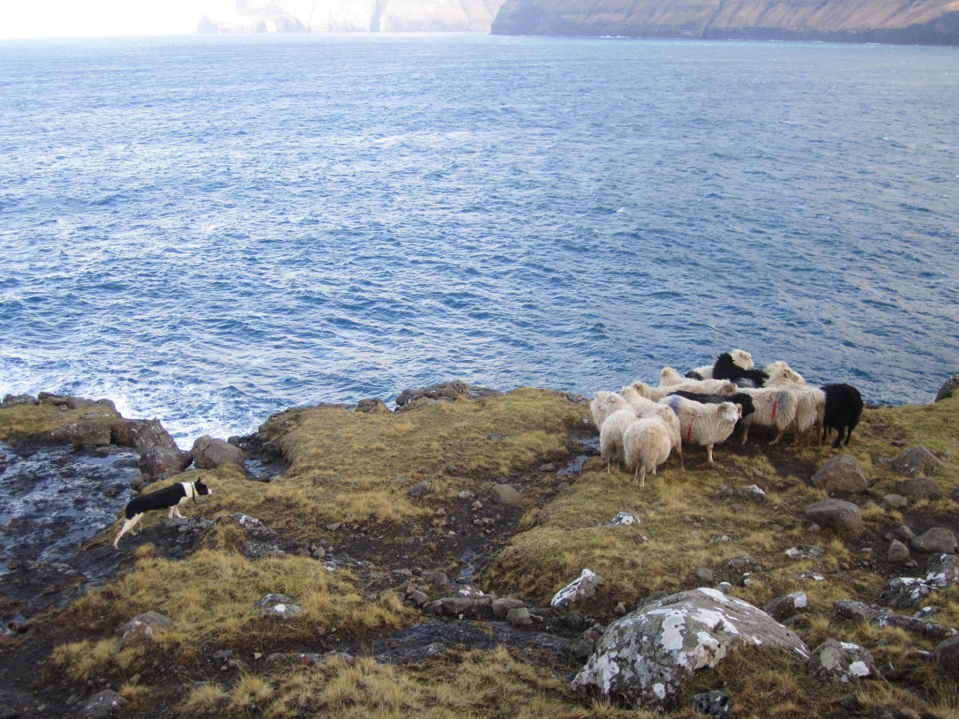 Vørðslan Fyri Uttan á Skarði