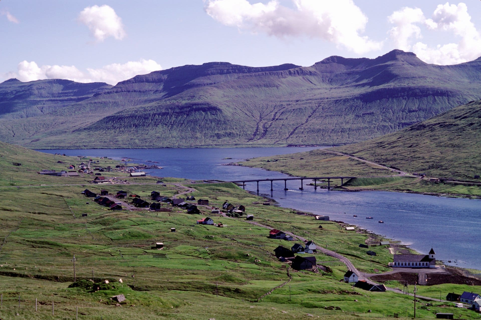 Lokkafelsdyrnar