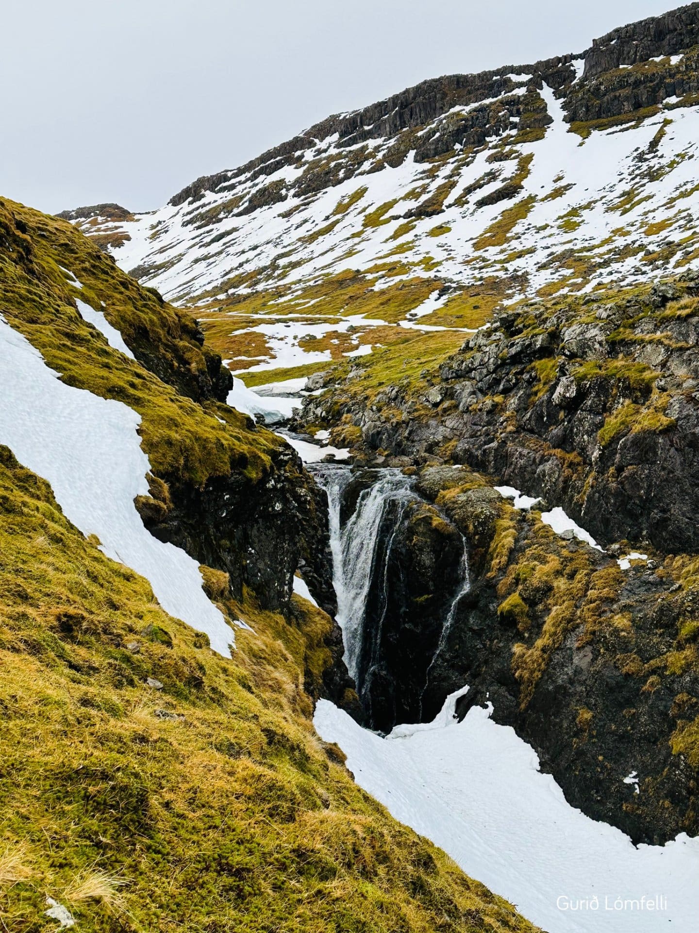Øksnagjógv