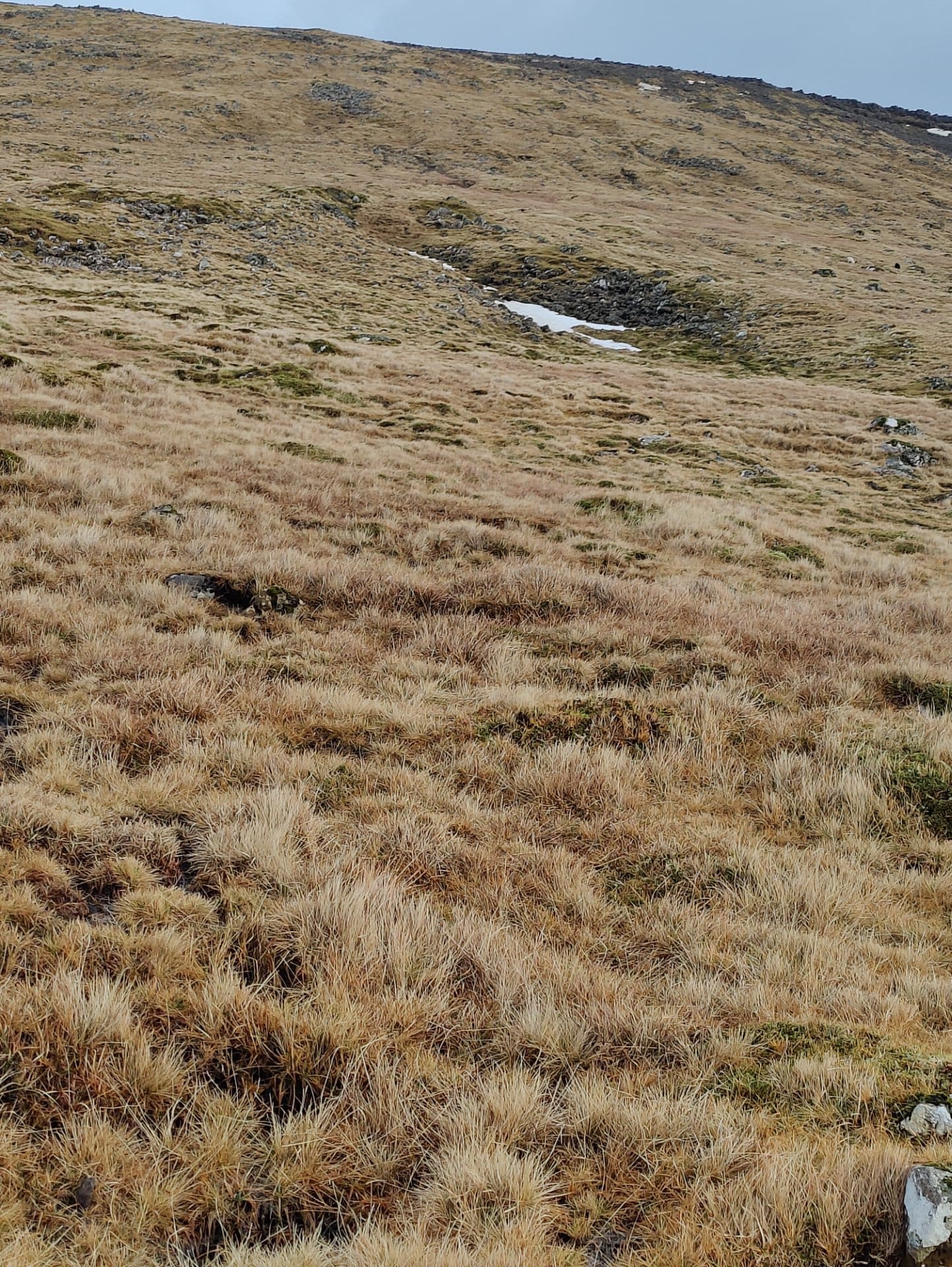 Lágin í Hamarsenda