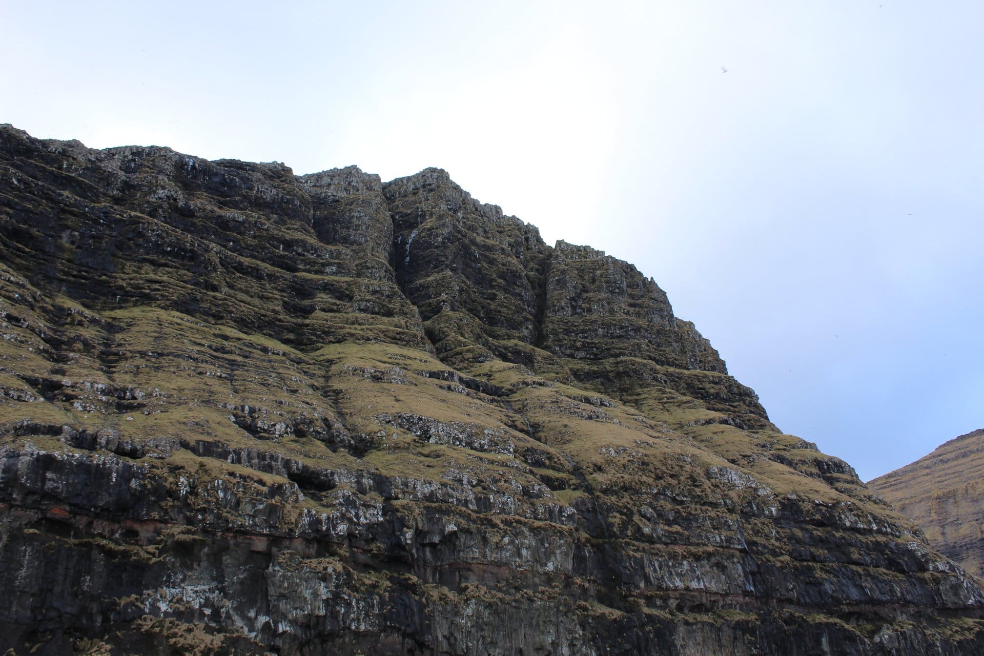 Seyðtorva