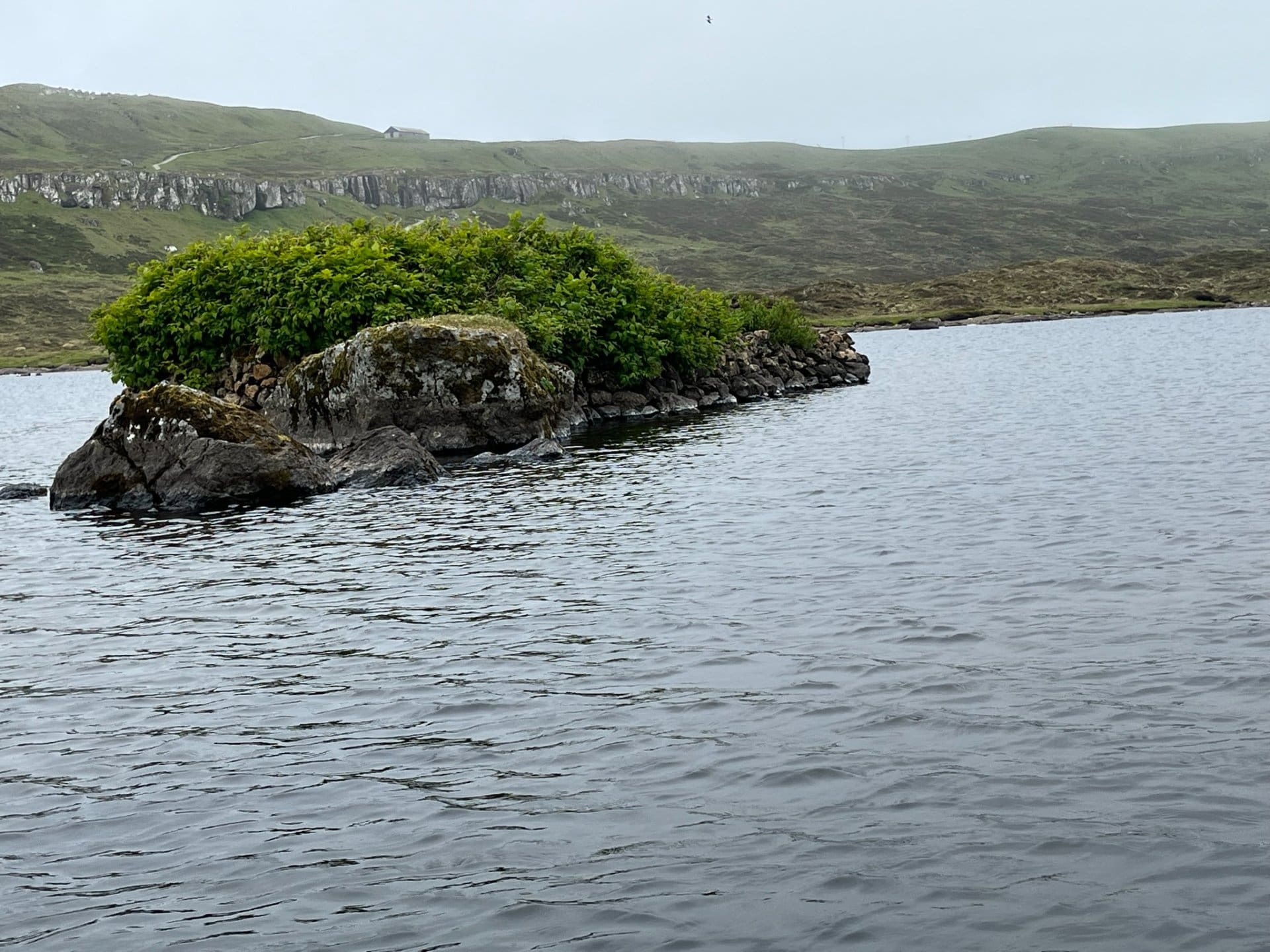 Ríshólmur