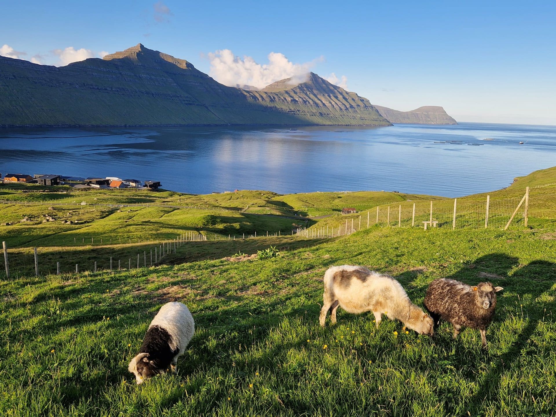 Gøtuvík