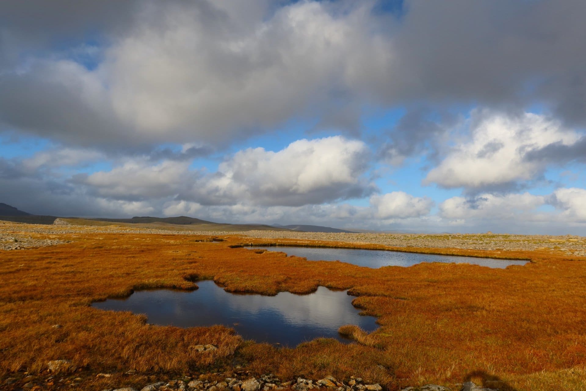 Tjørnin á Konufelli