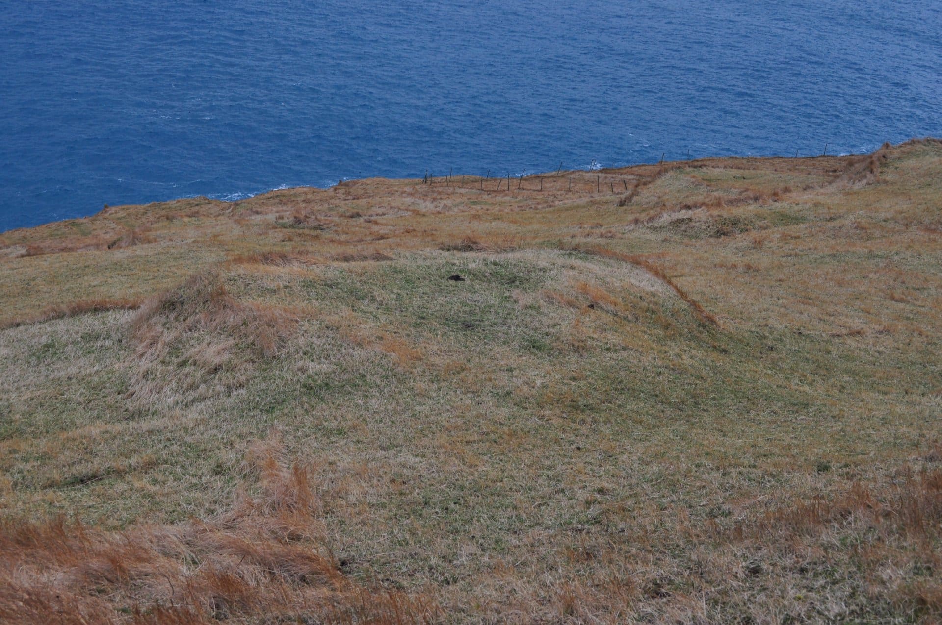 Norðri á Trøppunum