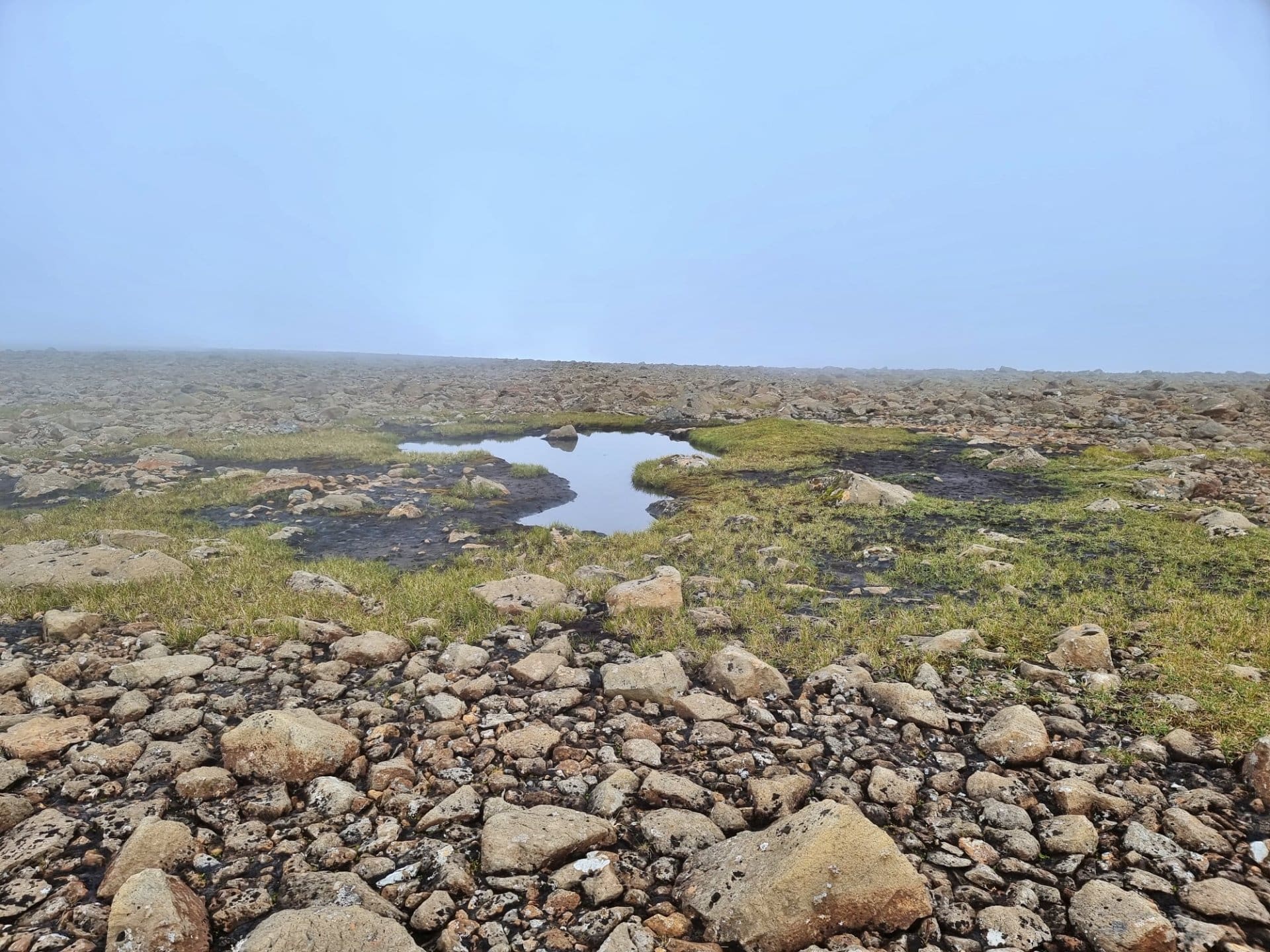 Tjørnin á Kúvingafjalli