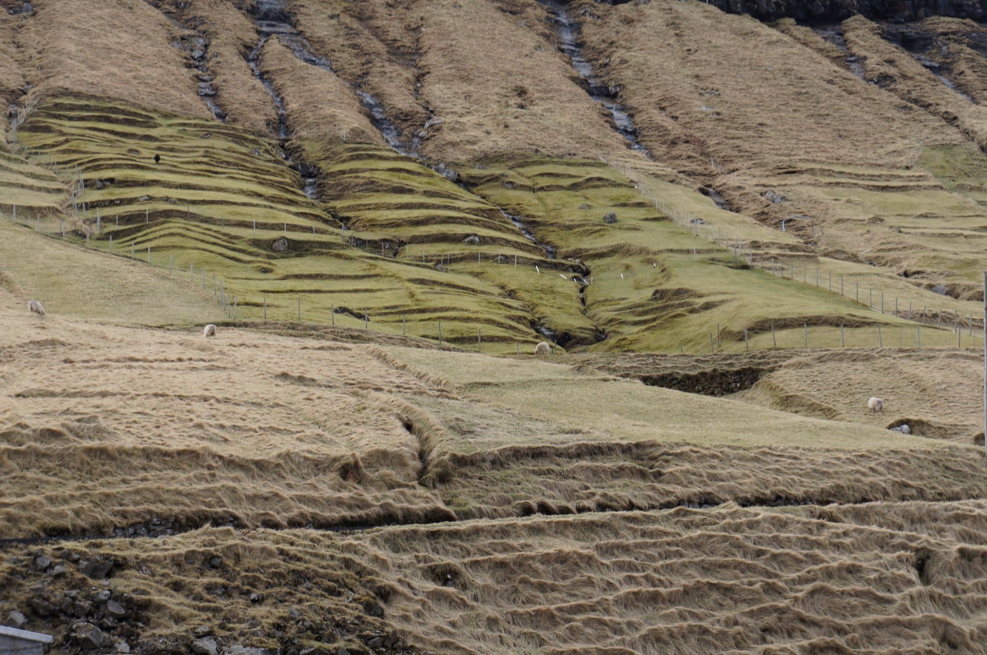 Niðara Stóradeildsmørk