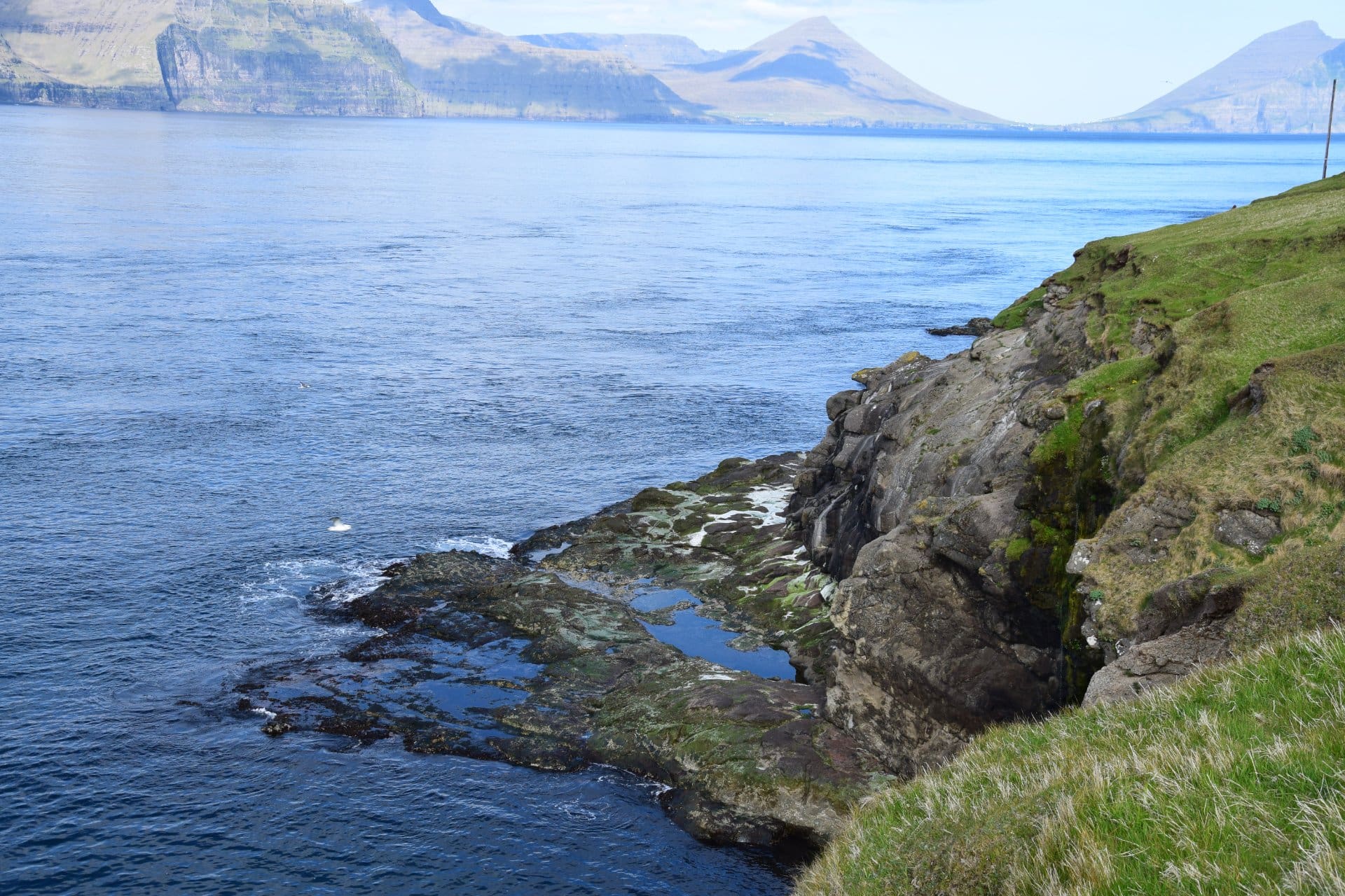 Frekakona   (Frekarakona)