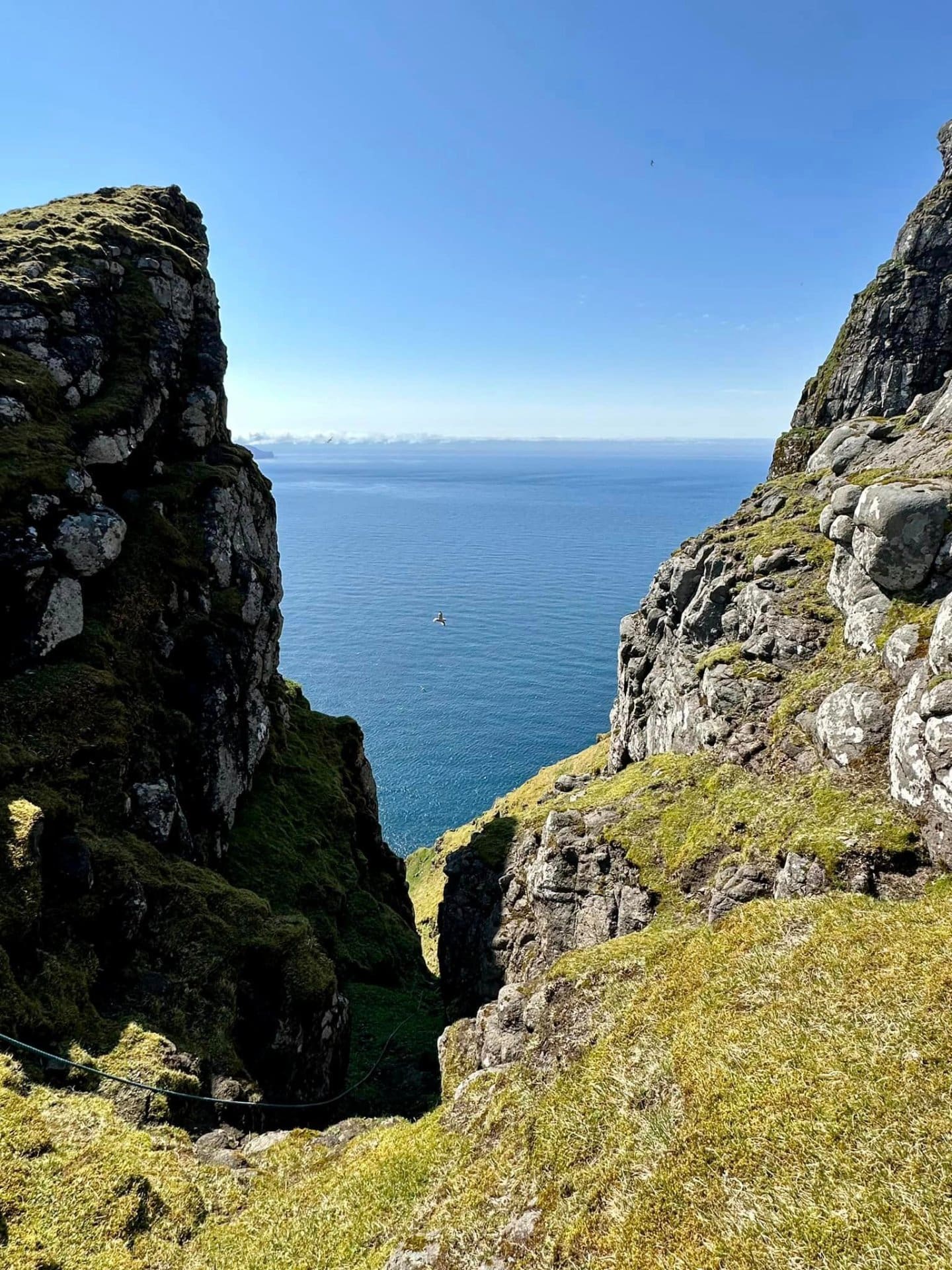 Torsskoragjógv