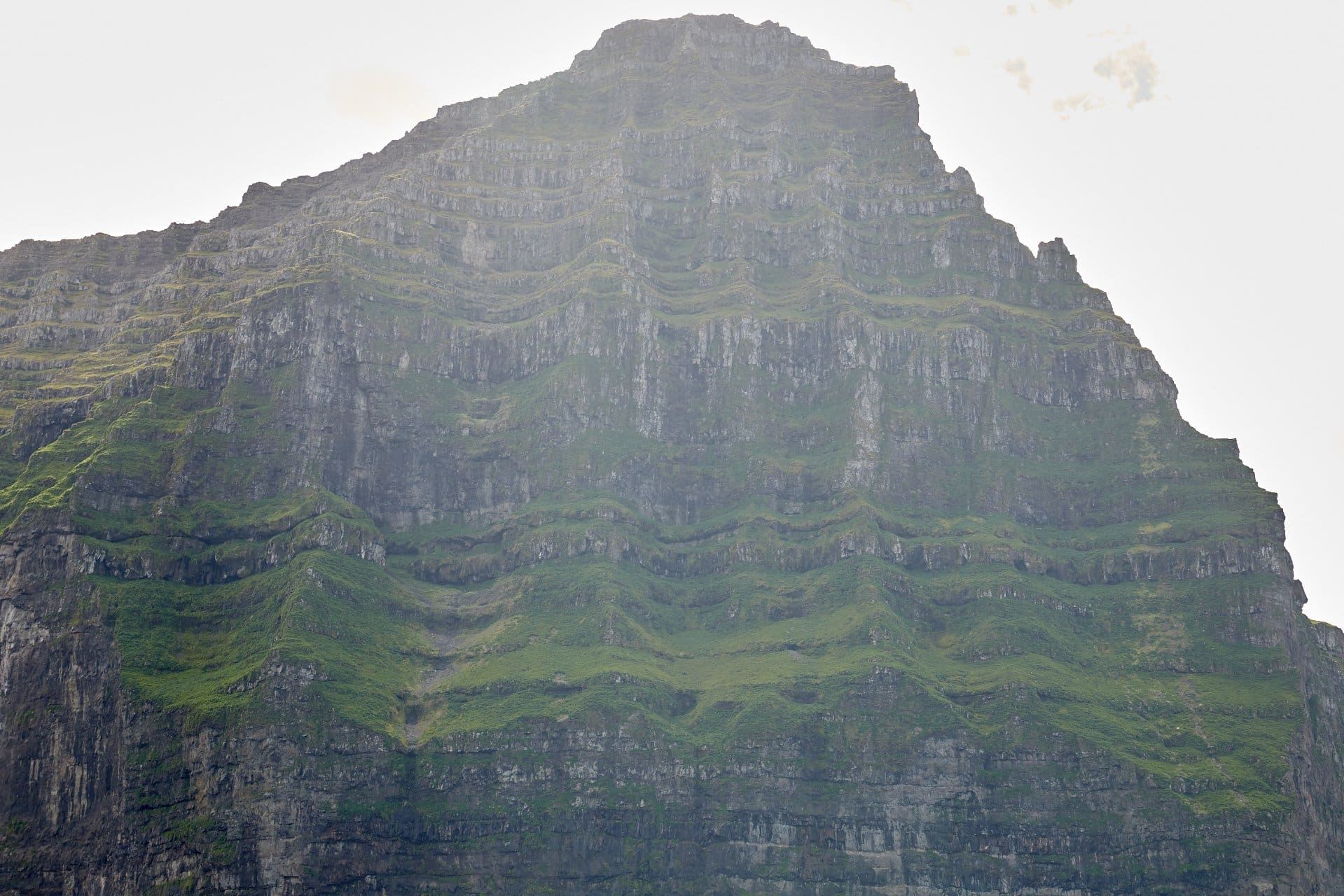 Rókin í Skrólurð