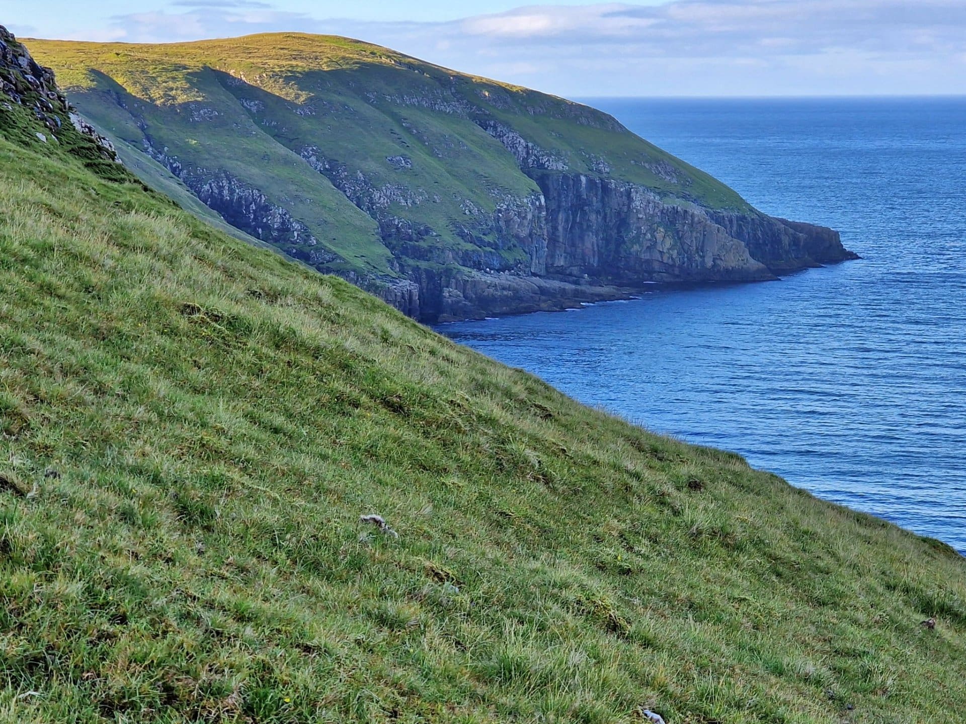 Sunnasti Grønutangi