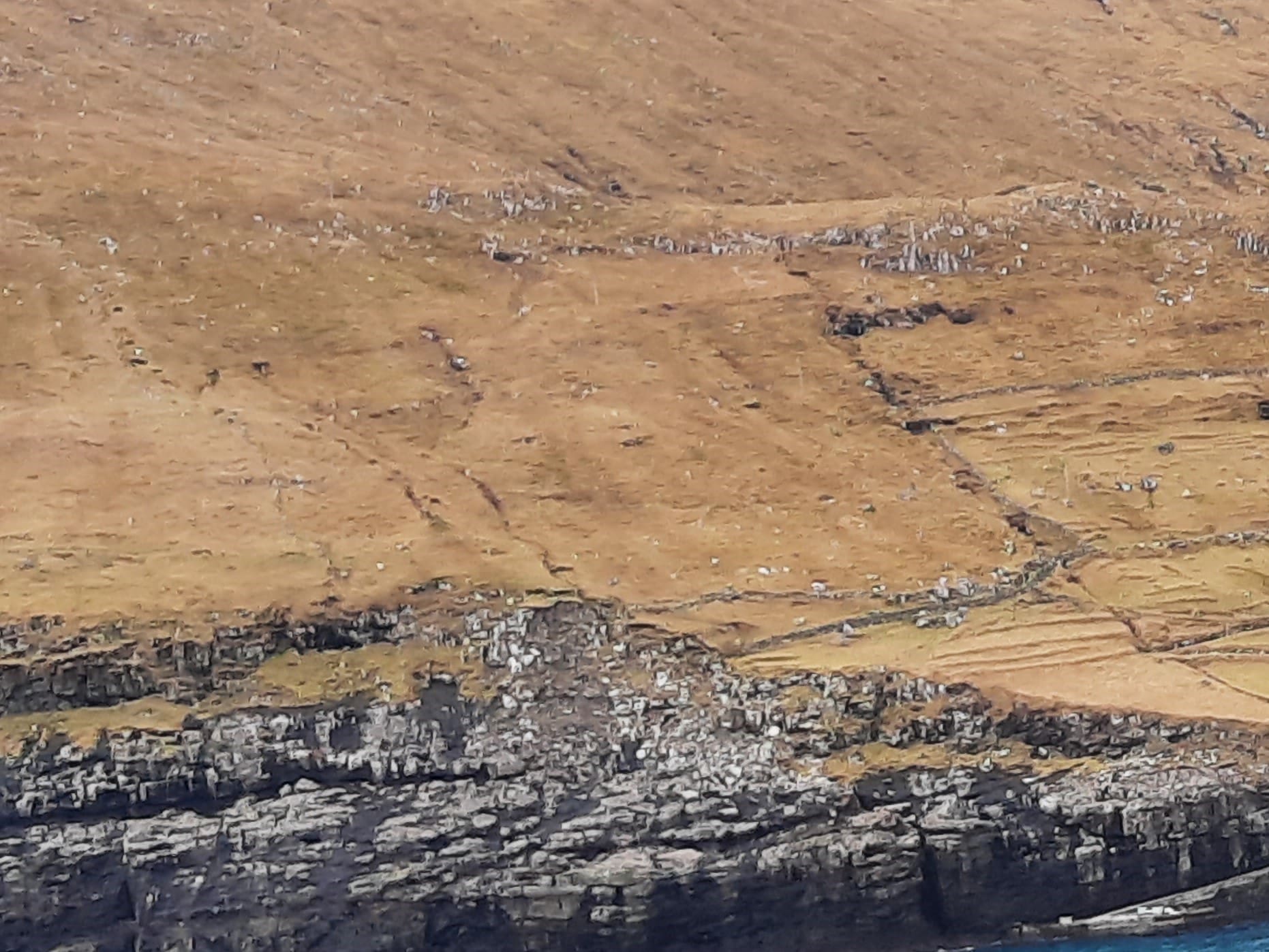 Lágin í Kyrjarheygg