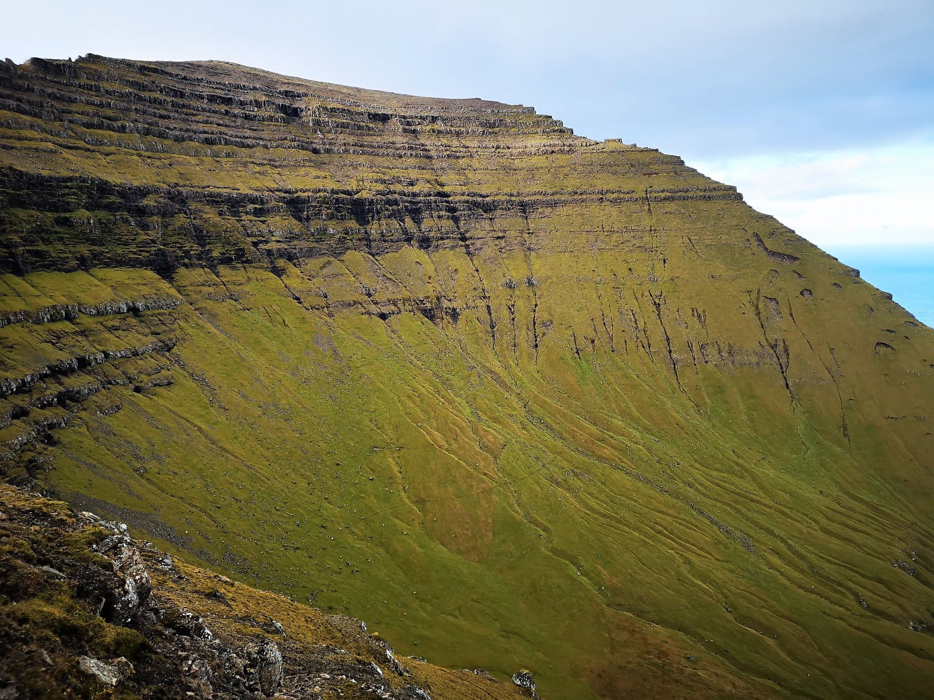 Rókin í Skrólurð