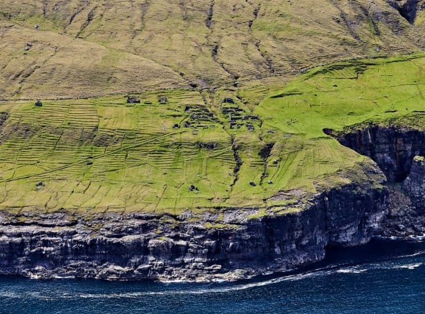 Skarð