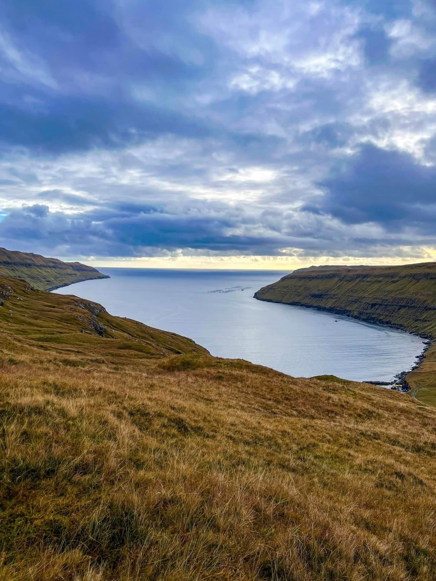 Lambavík