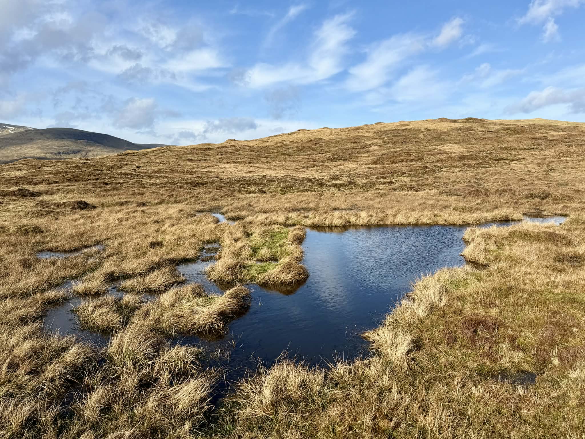 Tjørnin Suðuri í Dal